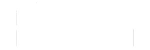 logo rwin