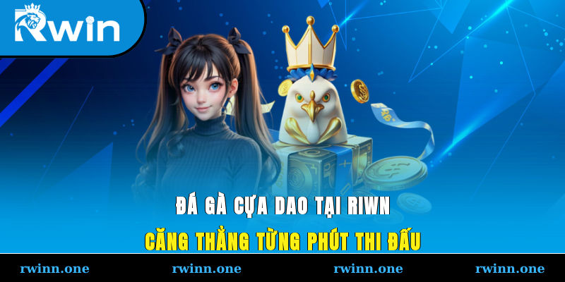 Đá gà cựa dao tại RIWN căng thẳng từng phút thi đấuĐá gà cựa dao tại RIWN căng thẳng từng phút thi đấu