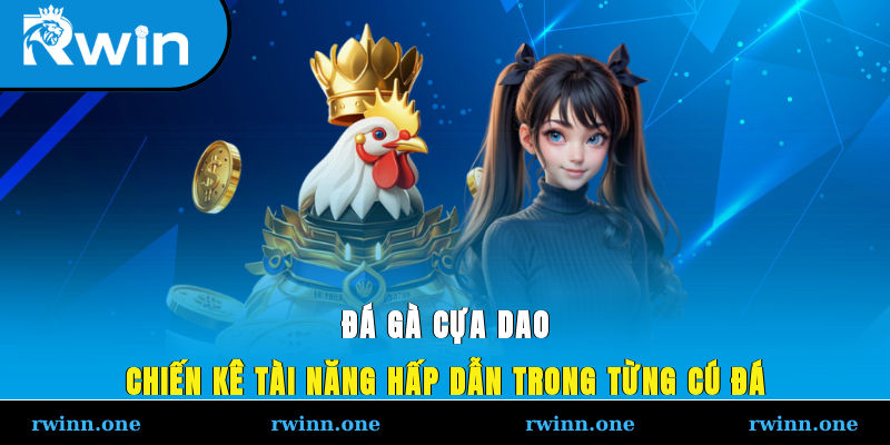 Đá Gà Cựa Dao - Chiến Kê Tài Năng, Hấp Dẫn Trong Từng Cú Đá
