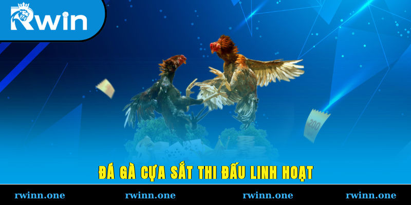 Đá gà cựa sắt tại RWIN thi đấu nhộn nhịp
