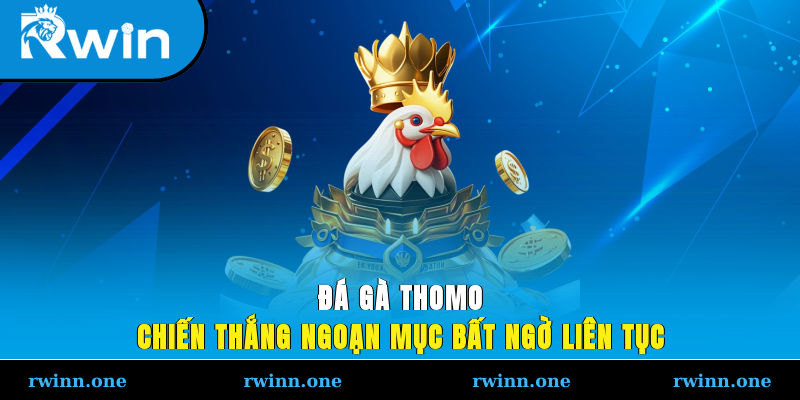 Đá Gà Thomo - Chiến Thắng Ngoạn Mục, Bất Ngờ Liên Tục