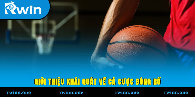 Giới thiệu khái quát về cá cược bóng rổ
