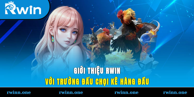 Giới thiệu Rwin với trường đấu chọi kê hàng đầu