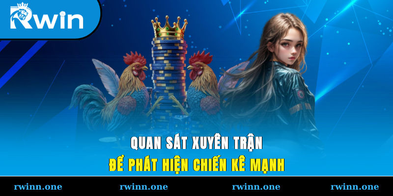 Quan sát xuyên trận để phát hiện chiến kê mạnh