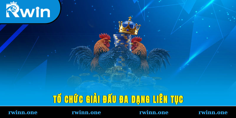 Tổ chức giải đấu đa dạng liên tục