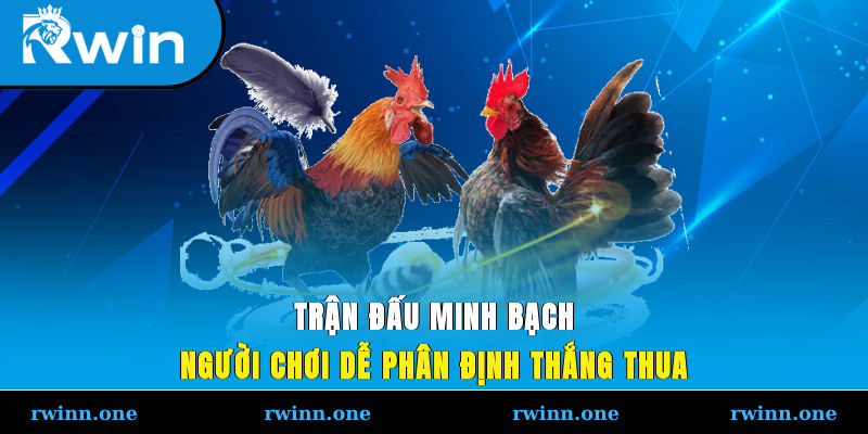 Trận đấu phân định rõ ràng các quy trình