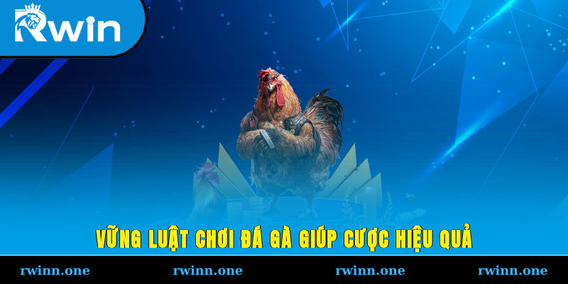 Vững luật chơi đá gà giúp cược hiệu quả
